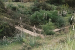 natural_environment_5