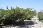 park_no1_6