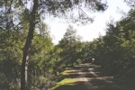 natural_environment_4