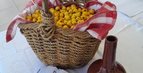 Φεστιβάλ Μοσφίλου 23/10/2022